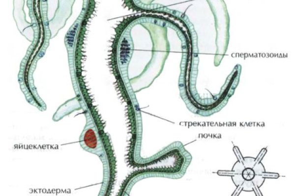 Кракен шоп интернет