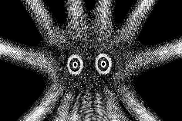 Ссылка кракен kraken014 com