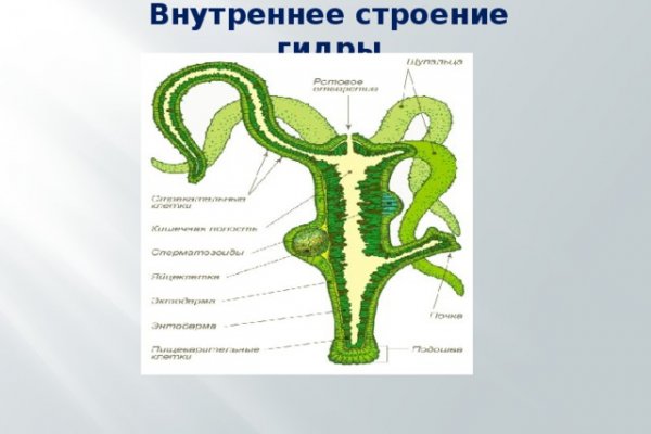 Украли аккаунт на кракене даркнет