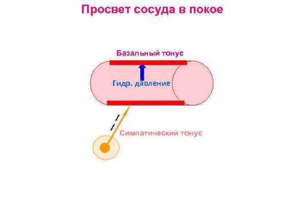 Что продает маркетплейс кракен